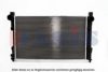 AKS DASIS 121720N Radiator, engine cooling